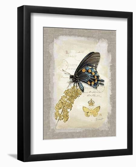 Natural Life, Rare Butterfly-Chad Barrett-Framed Art Print