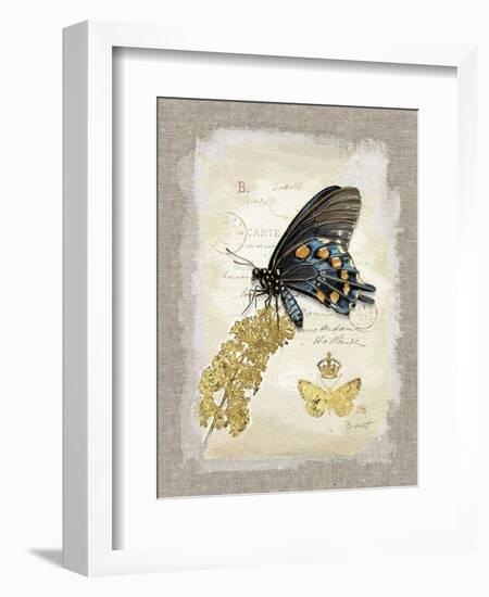 Natural Life, Rare Butterfly-Chad Barrett-Framed Art Print