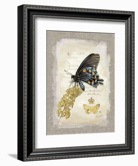 Natural Life, Rare Butterfly-Chad Barrett-Framed Art Print