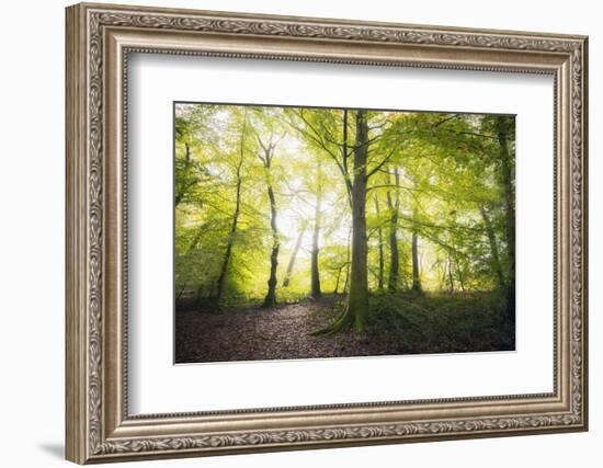 Natural Light-Philippe Manguin-Framed Photographic Print