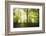 Natural Light-Philippe Manguin-Framed Photographic Print