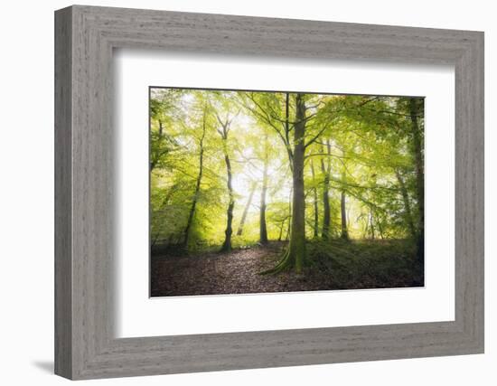 Natural Light-Philippe Manguin-Framed Photographic Print