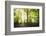 Natural Light-Philippe Manguin-Framed Photographic Print