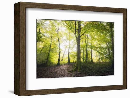 Natural Light-Philippe Manguin-Framed Photographic Print