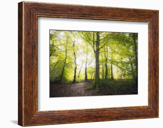 Natural Light-Philippe Manguin-Framed Photographic Print