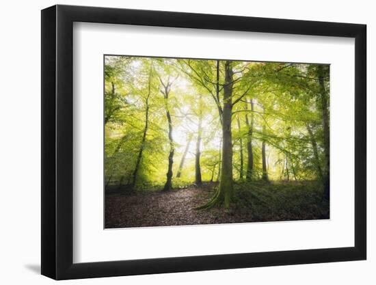 Natural Light-Philippe Manguin-Framed Photographic Print