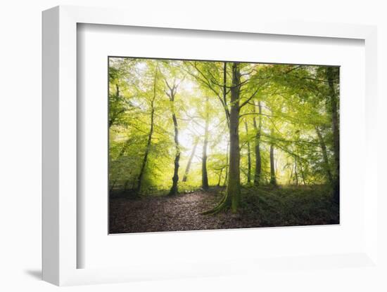 Natural Light-Philippe Manguin-Framed Photographic Print