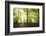 Natural Light-Philippe Manguin-Framed Photographic Print