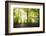 Natural Light-Philippe Manguin-Framed Photographic Print