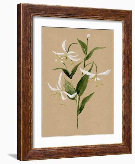 Natural Lily I-Annie Warren-Framed Art Print