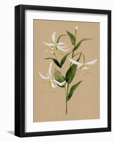 Natural Lily I-Annie Warren-Framed Art Print