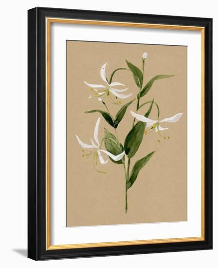 Natural Lily I-Annie Warren-Framed Art Print