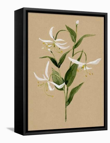 Natural Lily I-Annie Warren-Framed Stretched Canvas