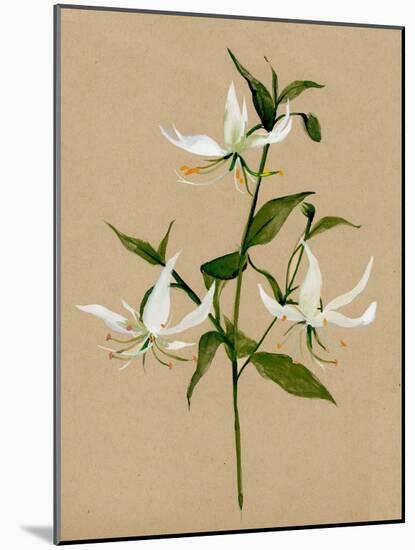 Natural Lily II-Annie Warren-Mounted Art Print