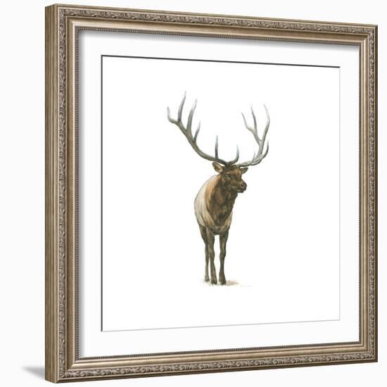 Natural Majesty I-Emily Adams-Framed Art Print