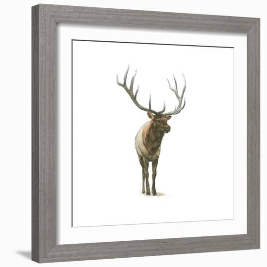 Natural Majesty I-Emily Adams-Framed Art Print