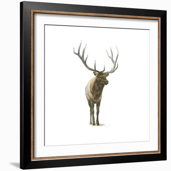 Natural Majesty I-Emily Adams-Framed Art Print