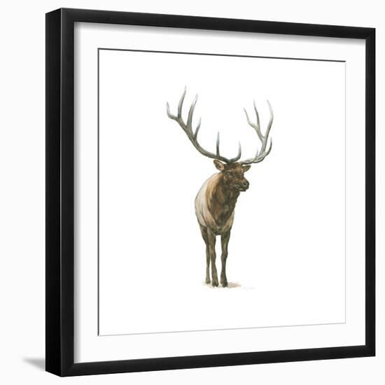 Natural Majesty I-Emily Adams-Framed Art Print