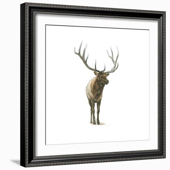 Natural Majesty I-Emily Adams-Framed Art Print