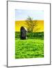 Natural Meadow Landscape and Abstract of Stones - Pewsey - Wiltshire - UK - England-Philippe Hugonnard-Mounted Art Print