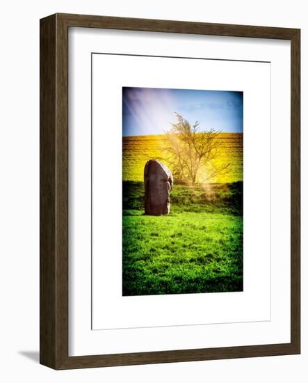 Natural Meadow Landscape and Abstract of Stones - Pewsey - Wiltshire - UK - England-Philippe Hugonnard-Framed Art Print