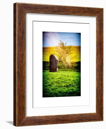 Natural Meadow Landscape and Abstract of Stones - Pewsey - Wiltshire - UK - England-Philippe Hugonnard-Framed Art Print