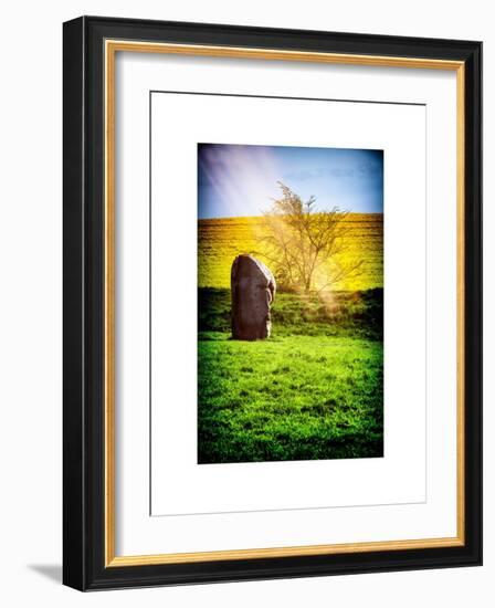 Natural Meadow Landscape and Abstract of Stones - Pewsey - Wiltshire - UK - England-Philippe Hugonnard-Framed Art Print