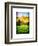 Natural Meadow Landscape and Abstract of Stones - Pewsey - Wiltshire - UK - England-Philippe Hugonnard-Framed Premium Giclee Print