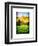 Natural Meadow Landscape and Abstract of Stones - Pewsey - Wiltshire - UK - England-Philippe Hugonnard-Framed Premium Giclee Print