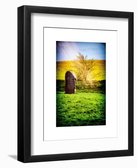 Natural Meadow Landscape and Abstract of Stones - Pewsey - Wiltshire - UK - England-Philippe Hugonnard-Framed Premium Giclee Print