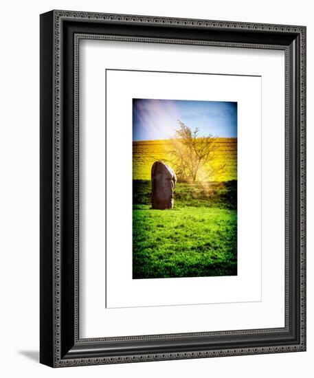 Natural Meadow Landscape and Abstract of Stones - Pewsey - Wiltshire - UK - England-Philippe Hugonnard-Framed Premium Giclee Print