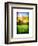 Natural Meadow Landscape and Abstract of Stones - Pewsey - Wiltshire - UK - England-Philippe Hugonnard-Framed Premium Giclee Print