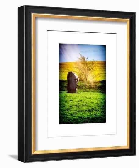 Natural Meadow Landscape and Abstract of Stones - Pewsey - Wiltshire - UK - England-Philippe Hugonnard-Framed Premium Giclee Print