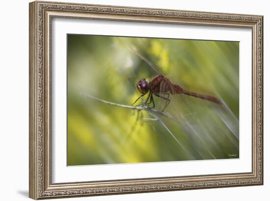 Natural Motif III-Gordon Semmens-Framed Giclee Print