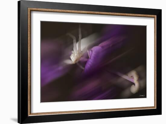 Natural Motif IV-Gordon Semmens-Framed Giclee Print