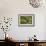 Natural Motif VI-Gordon Semmens-Framed Giclee Print displayed on a wall