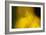 Natural Motif VII-Gordon Semmens-Framed Giclee Print