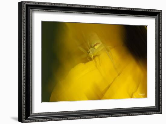 Natural Motif VII-Gordon Semmens-Framed Giclee Print