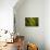 Natural Motif X-Gordon Semmens-Giclee Print displayed on a wall