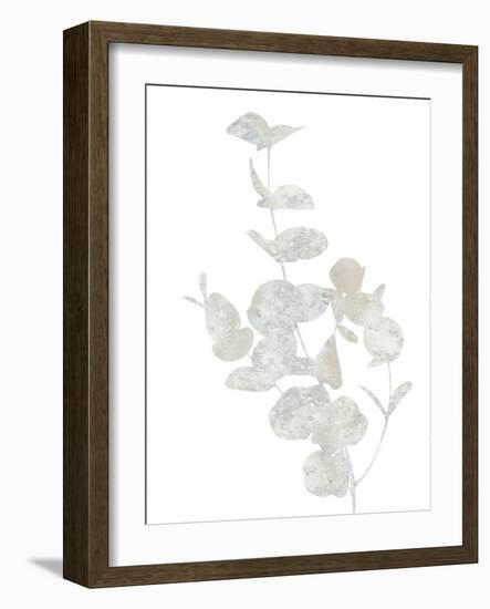 Natural Nature I-Danielle Carson-Framed Art Print