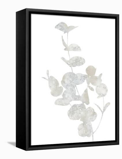 Natural Nature I-Danielle Carson-Framed Stretched Canvas