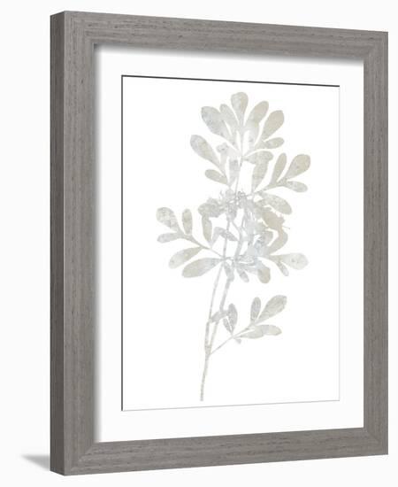 Natural Nature II-Danielle Carson-Framed Art Print