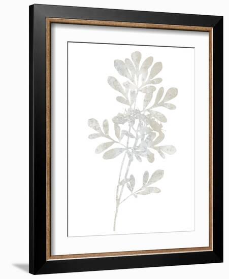 Natural Nature II-Danielle Carson-Framed Art Print