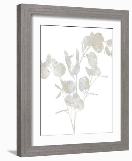 Natural Nature III-Danielle Carson-Framed Art Print