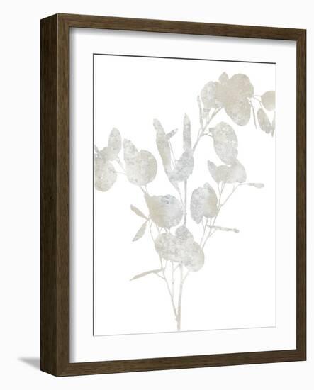 Natural Nature III-Danielle Carson-Framed Art Print