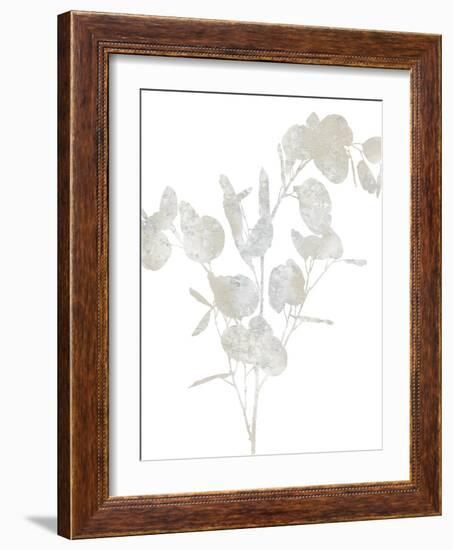 Natural Nature III-Danielle Carson-Framed Art Print