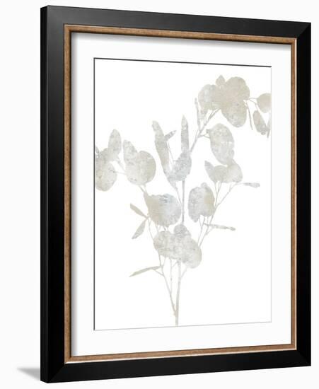 Natural Nature III-Danielle Carson-Framed Art Print