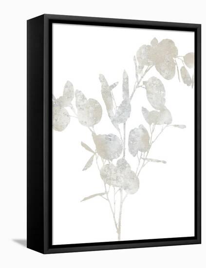 Natural Nature III-Danielle Carson-Framed Stretched Canvas