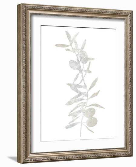 Natural Nature IV-Danielle Carson-Framed Art Print