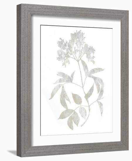 Natural Nature V-Danielle Carson-Framed Art Print